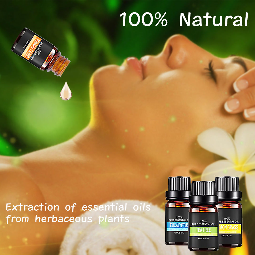 Organic Essential Oils - Natural Therapeutic Grade Aromatherapy Oil for Your Diffuser