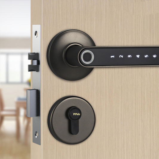 Smart Lock Door Handle