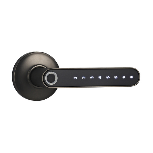 Smart Lock Door Handle