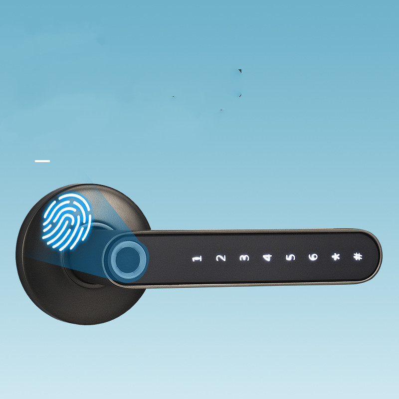 Smart Lock Door Handle