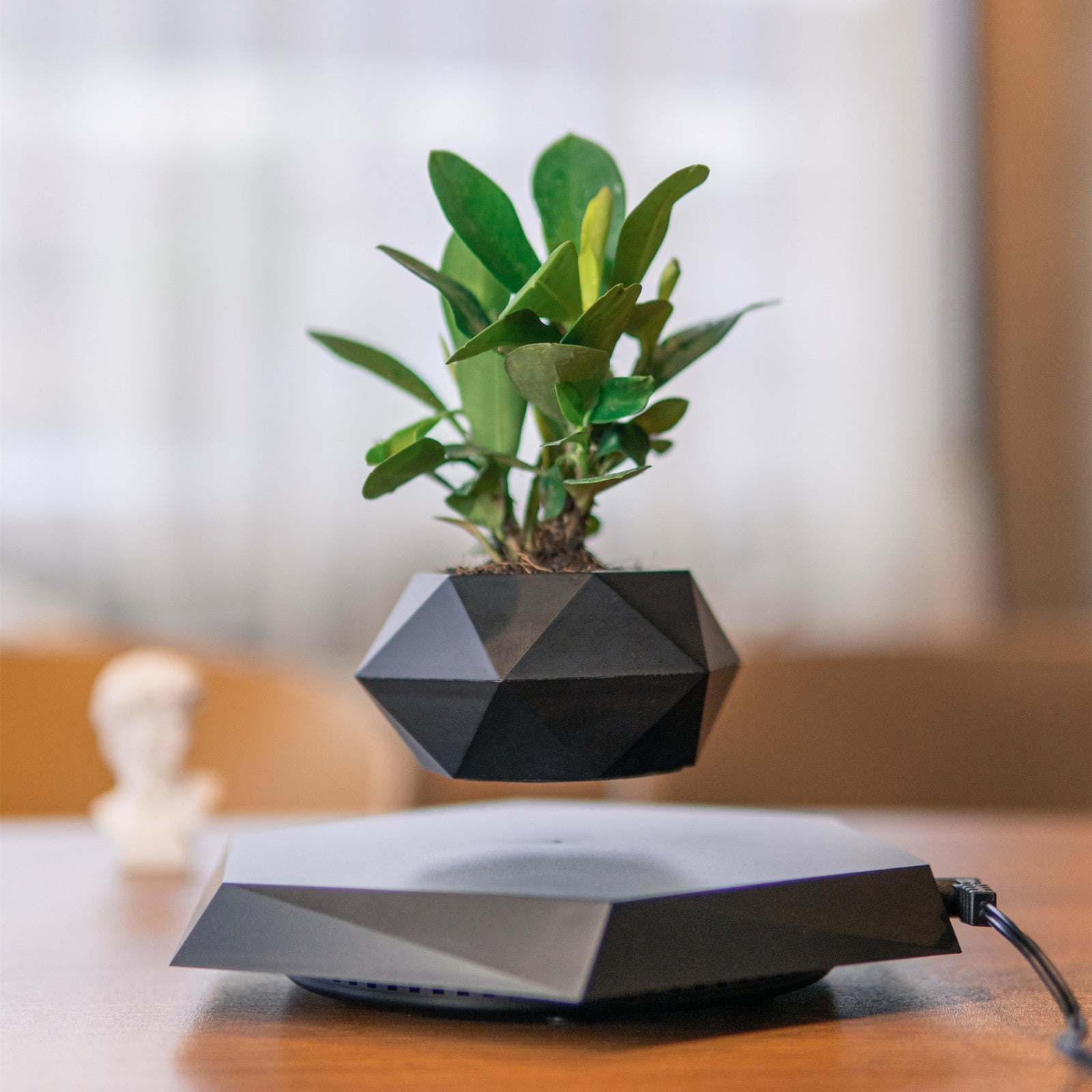 Levitating Plant Pot